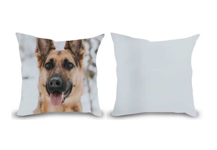 16 x 16 pillow